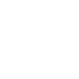 Steam